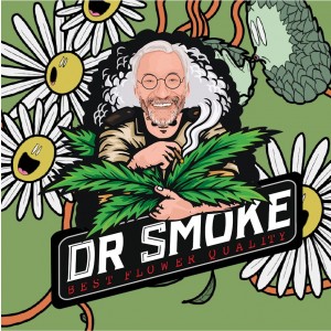 Franchise DR SMOKE dans Franchise CBD et drivs
